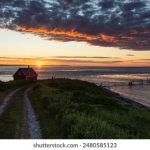 深入了解龙八国际官方网站的游戏种类与用户体验 b4uv90