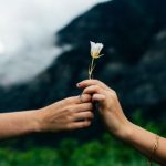 78必发:揭秘如何在投资中实现稳定收益的秘诀 g3rf3iy