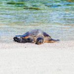 bifa888的游戏种类与玩法解析,助你轻松上手 h76rku65