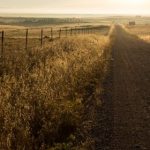 9822金沙平台:畅享无限乐趣与丰厚奖励的最佳选择 j2a21n