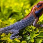 8波手机比分:让你轻松追踪各大体育赛事结果 kzb2f